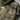 JDK MVP FLC RLT PO HOODIE K/M