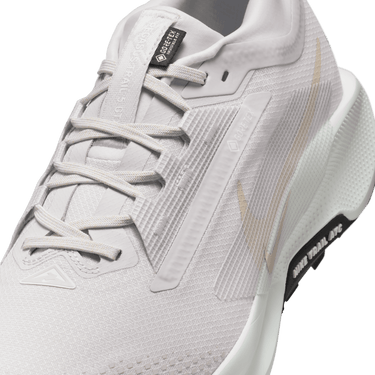 NIKE PEGASUS TRAIL 5 GORE-TEX MEN'S WATERPROOF TRAIL RUNNING SHOES