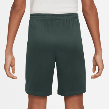 NIKE TROPHY23 BIG KIDS' DRI-FIT SHORTS