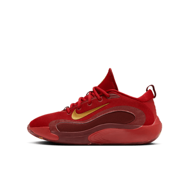 NIKE ISOFLY BIG KIDS' BASKETBALL SHOES