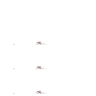 NIKE LD-1000 WOMEN'S SHOES