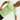 NIKE PRO TRAINING MEN'S DRI-FIT SHORT-SLEEVE TOP